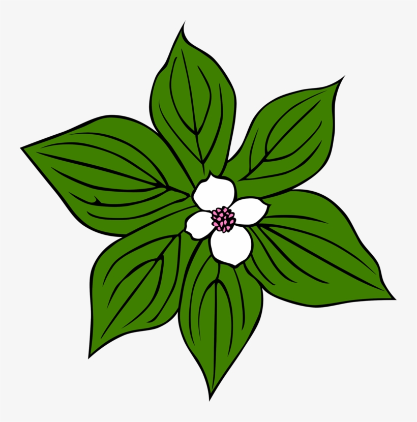 Trillium Flower Illustration - Botanical Clip Art for Nature Projects