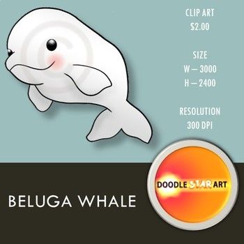 Cute little beluga whale cartoon 10807874 Vector Art at Vecteezy - Clip ...