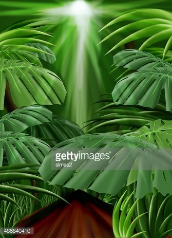 Lush tropical jungle with giant monstera leaves and a sunbeam piercing through the canopy.