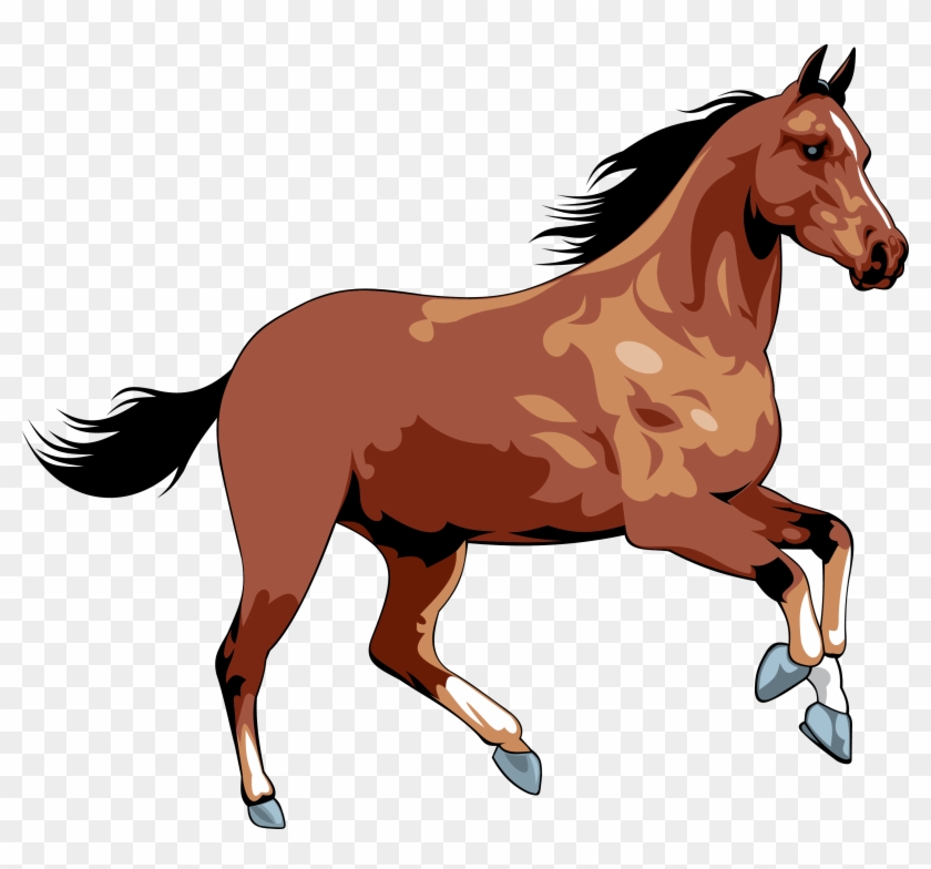 Brown horse with black mane and tail galloping dynamically on transparent background.