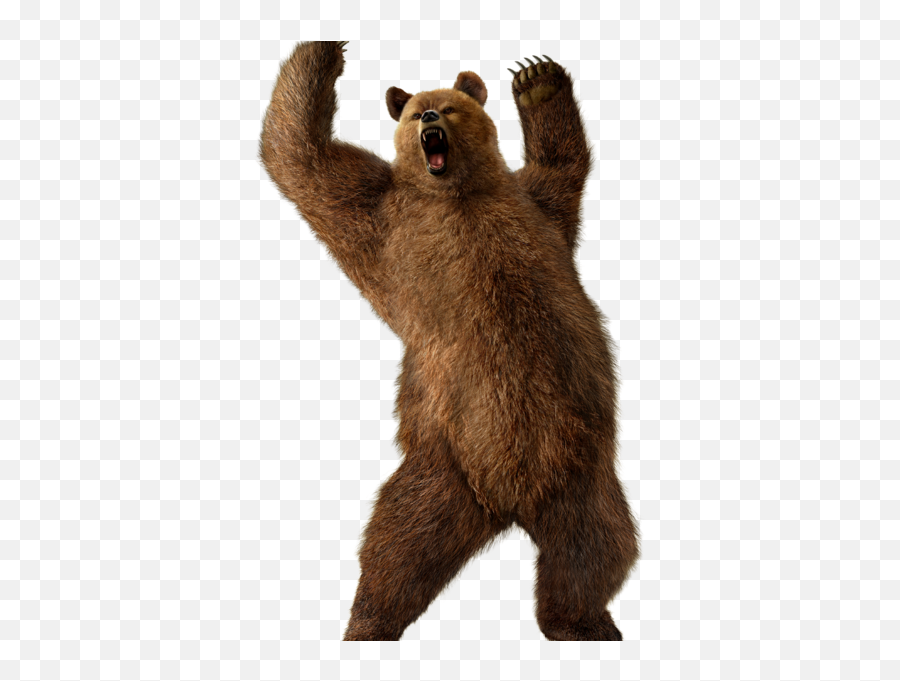 Scary Bear Clipart