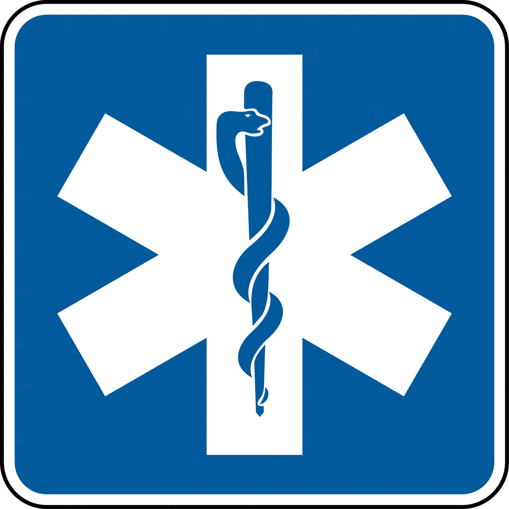 Blue Star of Life with white Rod of Asclepius symbol, used for emergency medical services identification.