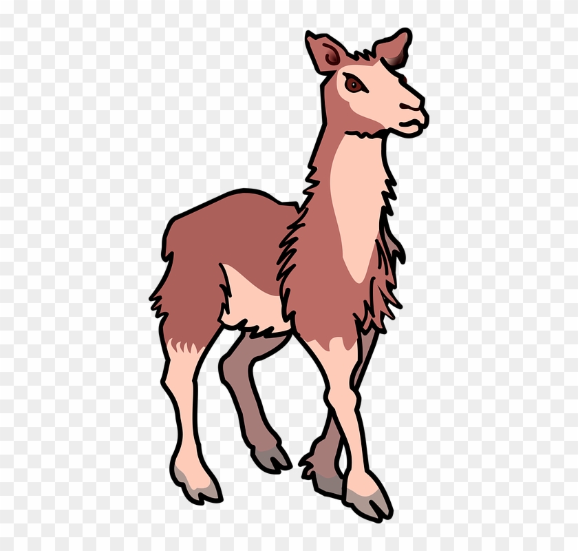 Cartoon illustration of a brown and cream alpaca standing in profile on transparent background.