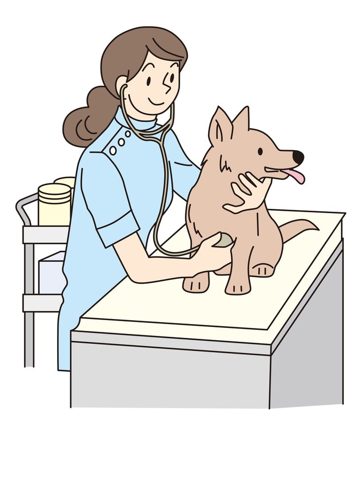 Veterinarian Stock Illustrations – 32,946 Veterinarian Stock - Clip Art ...