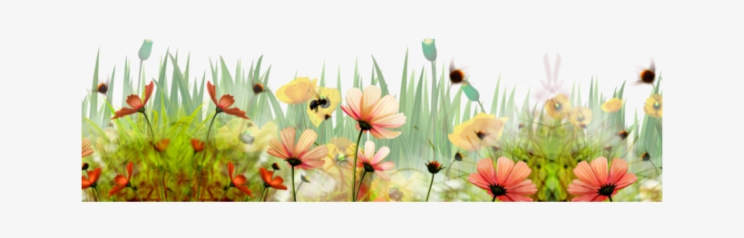 Vibrant spring meadow with pink, orange, and yellow cosmos flowers amid tall green grass and soft sunlight.