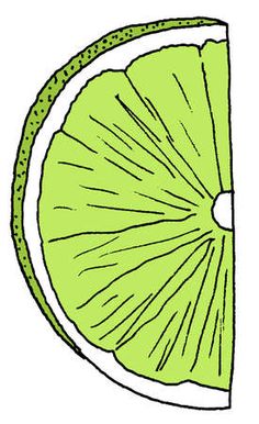 Hand-drawn illustration of a vibrant green lime wedge, showing segmented pulp and textured rind.