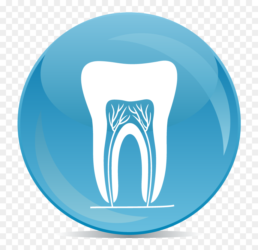Blue glossy icon showing a cross-section of a tooth with visible roots and pulp chamber.