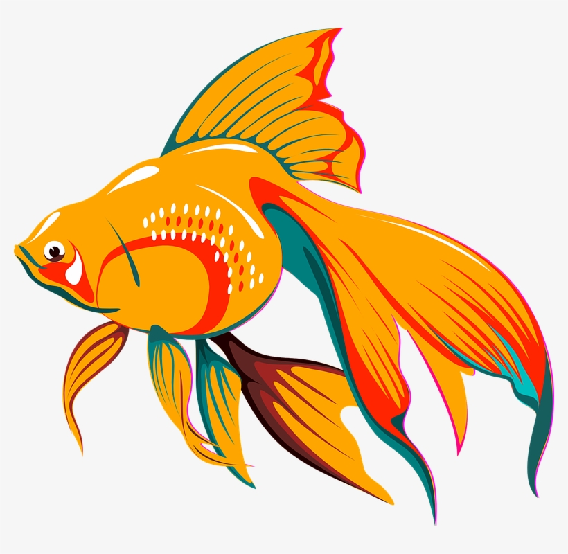 Vibrant orange and teal betta fish illustration with flowing fins and decorative scale pattern.