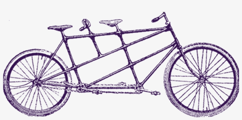 Vintage purple line drawing of a three-seat tandem bicycle with dual rear wheels and chain drive.