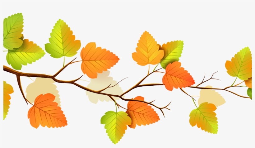 Autumn branch with colorful leaves transitioning from green to orange and yellow on a light background.