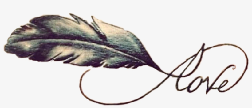 A detailed feather illustration with the word "Love" written in elegant cursive script flowing from its tip.