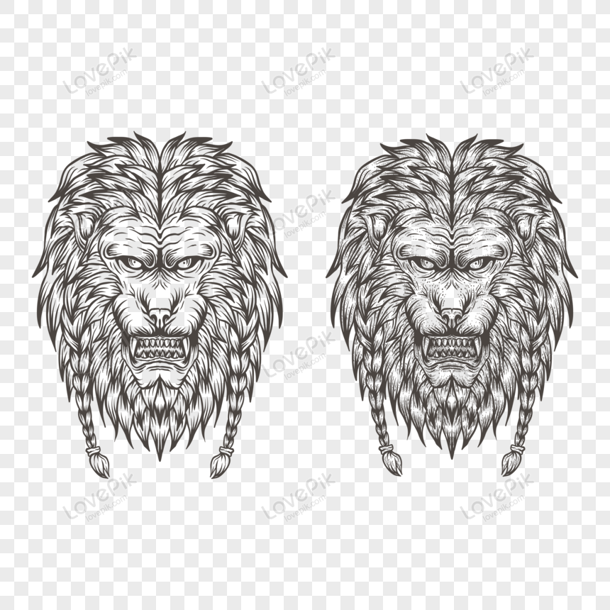 Two detailed black-and-white lion head illustrations with braided manes and fierce expressions, in vintage engraving style.