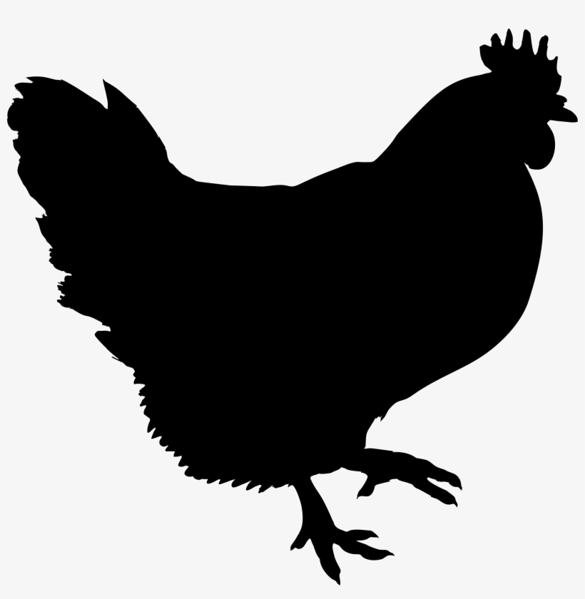 Chicken clipart black and white free clipart images 2 - Clipart Library ...