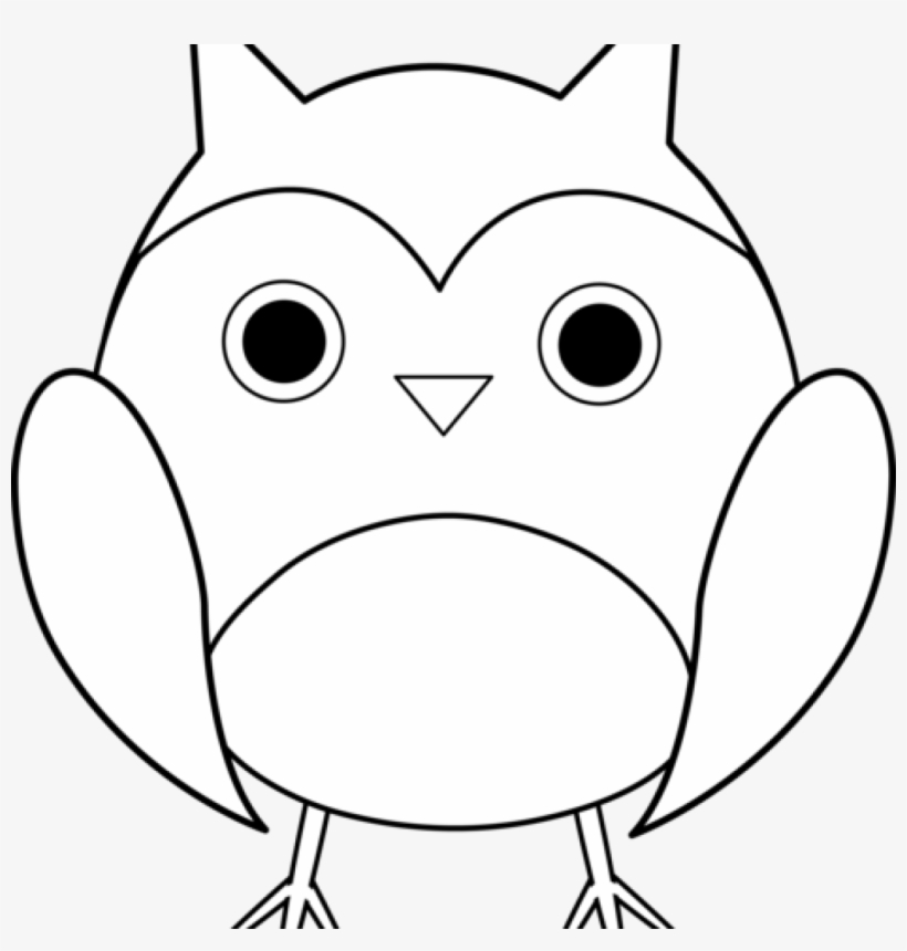 Premium Vector | Owl outline vector illustration coloring book for ...