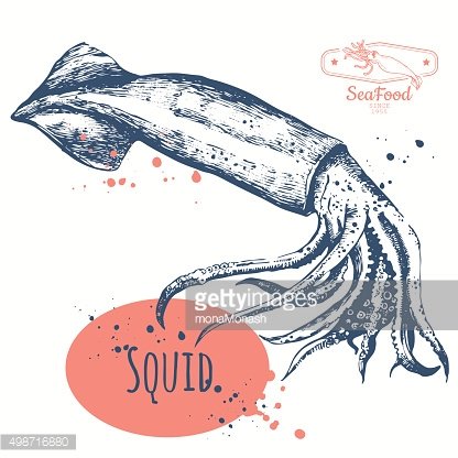 Hand-drawn vintage-style squid illustration with ink splatters and "SQUID" label in coral oval.