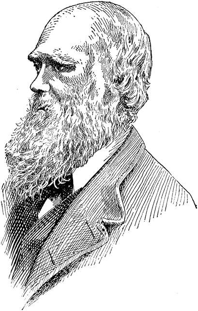 Black-and-white line drawing of a bearded 19th-century man in profile, wearing formal attire and looking leftward.