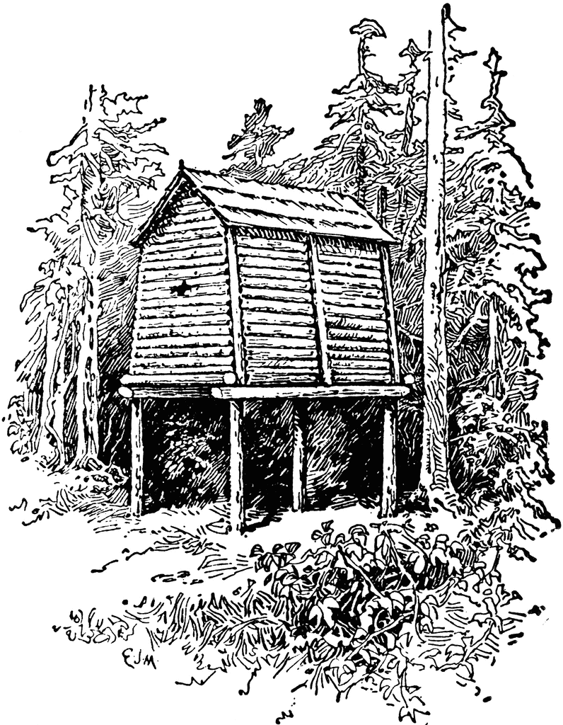 A hand-drawn sketch of a rustic wooden cabin on stilts nestled among tall pine trees in a forest setting.