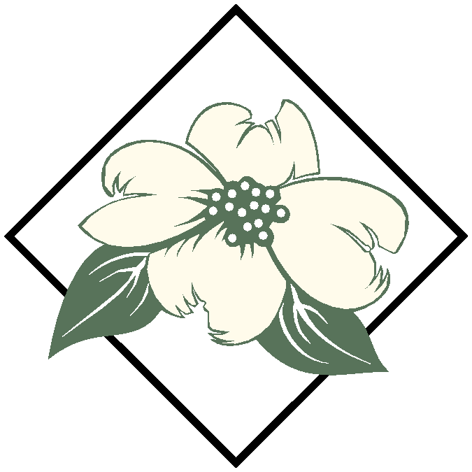 Stylized white dogwood flower with green leaves inside a black diamond border.
