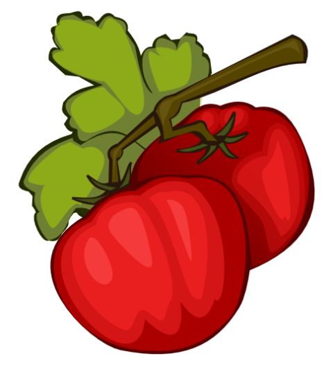Fresh Tomatoes on the Vine - Vibrant Illustration for Recipes & Gardening