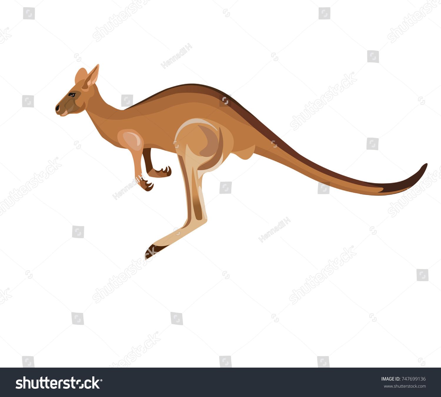 Brown kangaroo in mid-hop, stylized vector illustration with long tail and powerful hind legs.