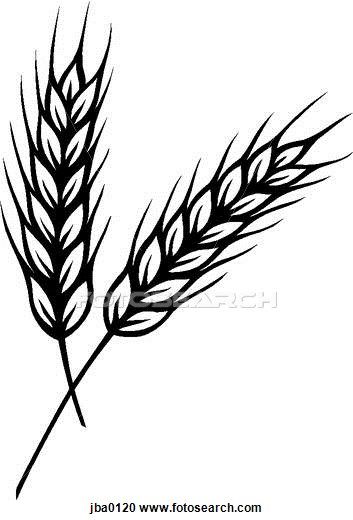 Wheat Stalk Illustration - Free Clipart for Agriculture & Food Design