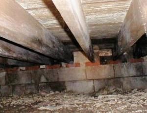 Crawl space under a house showing wooden joists, brick piers, and debris on the dirt floor.