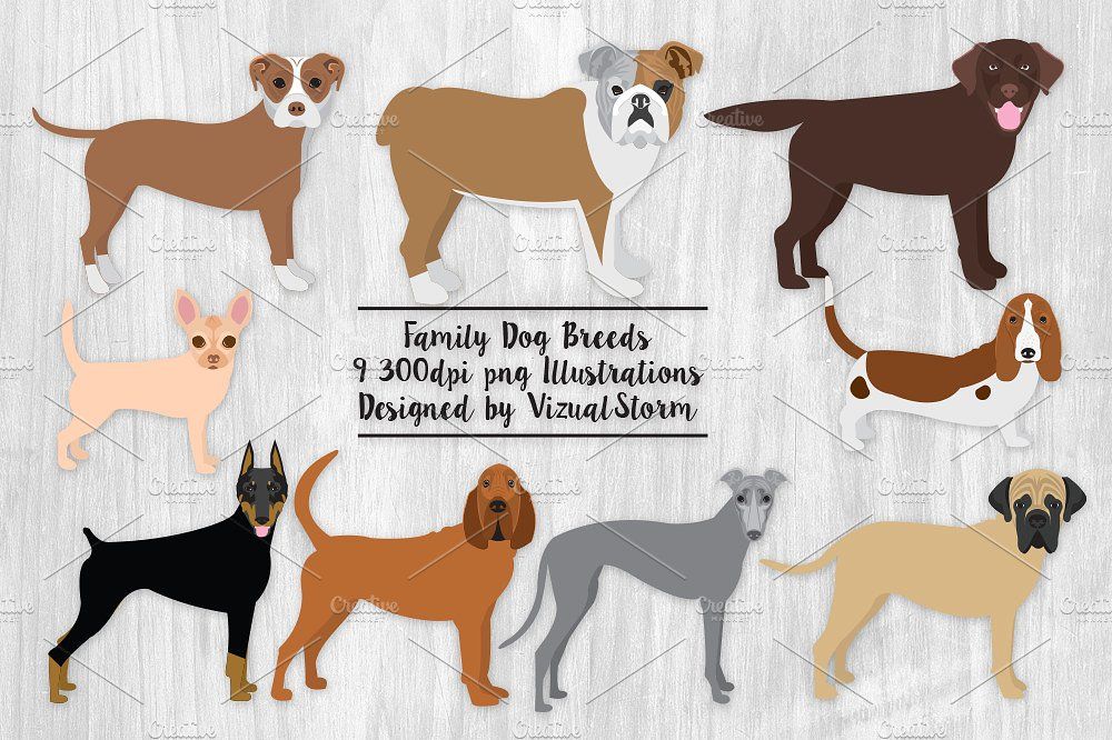 Family Dog Breeds - 9 High-Resolution PNG Illustrations by VizualStorm