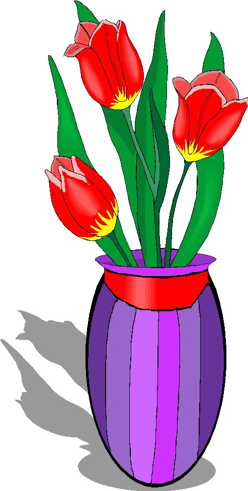 Red tulips in a purple striped vase with green stems and shadow on white background.
