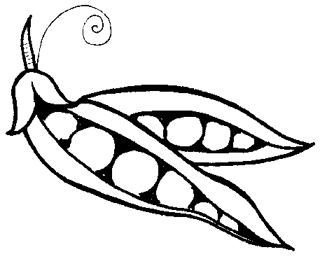 Black-and-white line drawing of an open pea pod with visible peas and a curled tendril.