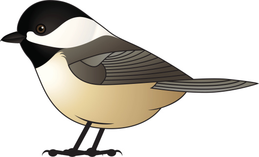 Flying Chickadee Stock Illustration - Download Image Now - Clip Art Library