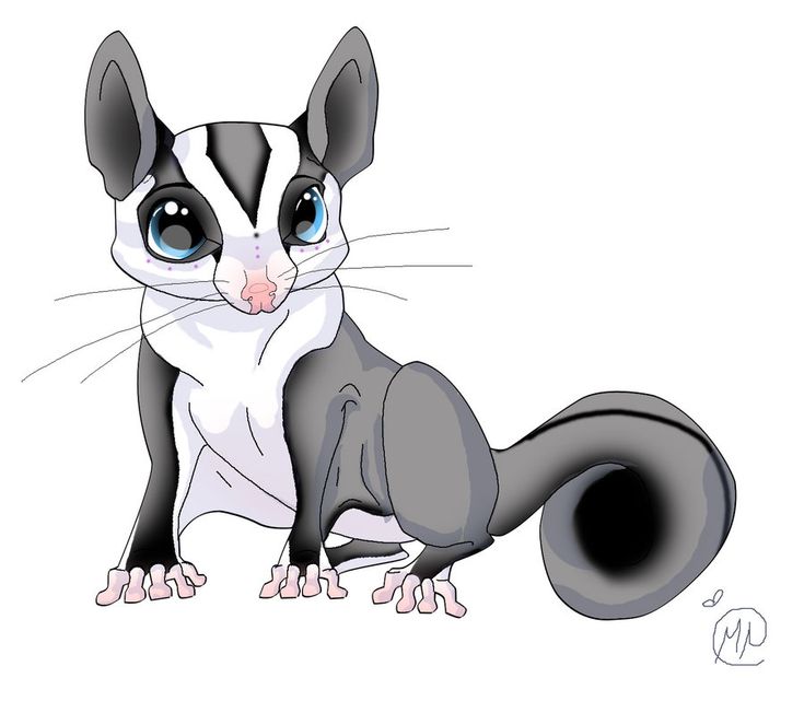Adorable Sugar Glider Illustration - Free Digital Art Download