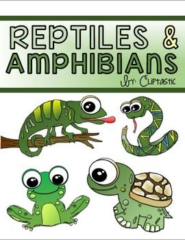 Cartoon-style illustrations of a chameleon, snake, frog, and turtle labeled "Reptiles & Amphibians" by Cuptastic.