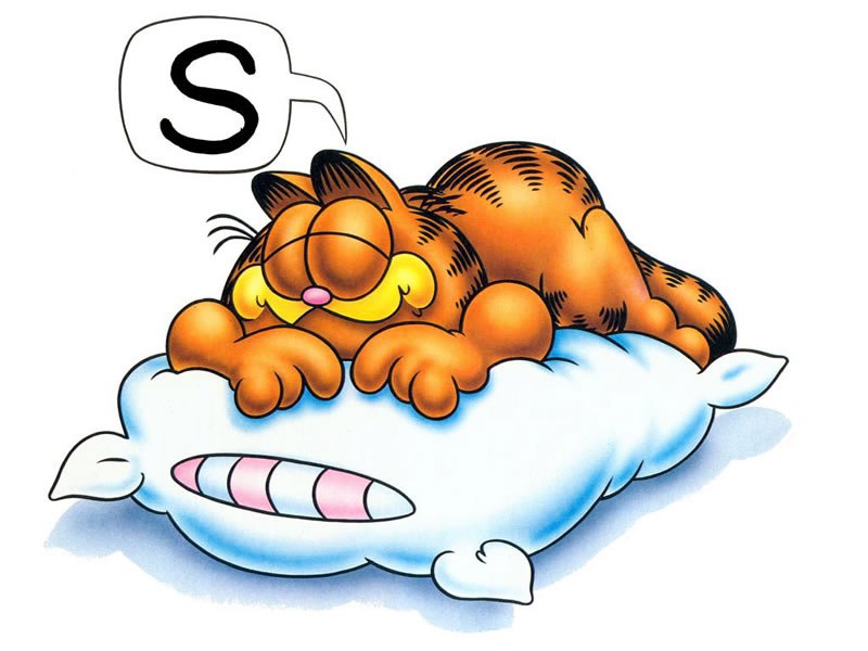 Garfield the orange cat sleeping soundly on a blue pillow with a speech bubble showing "S" for snoring.