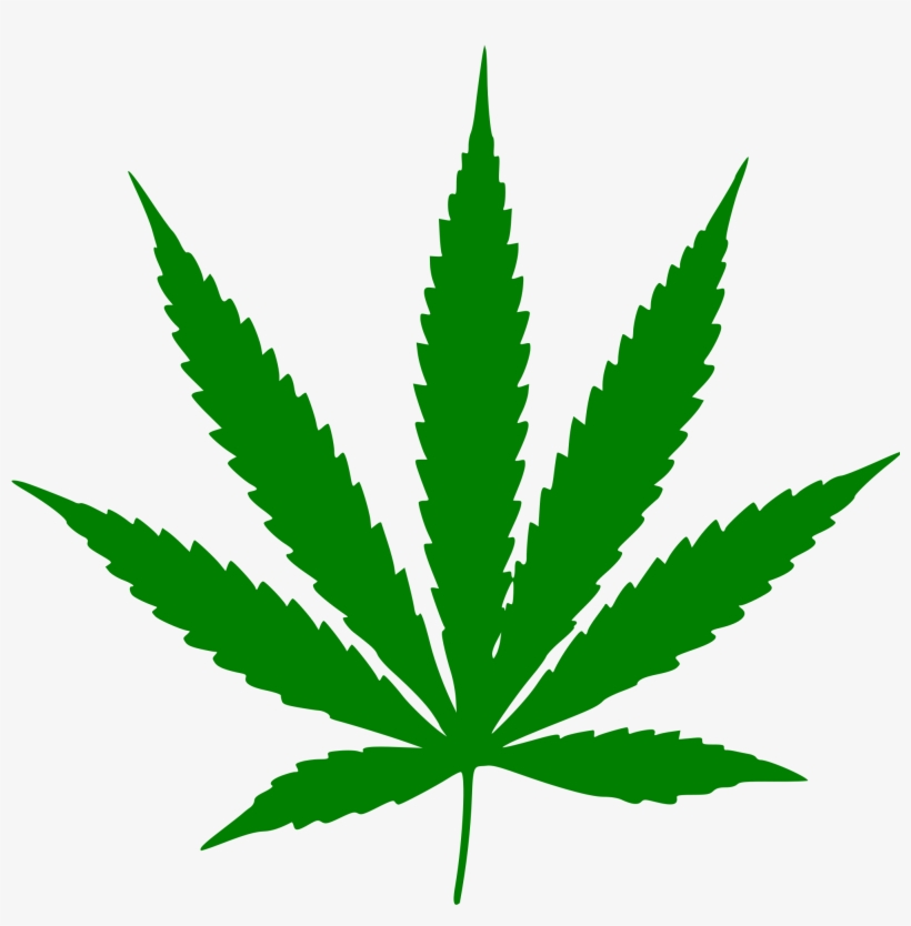 Green cannabis leaf silhouette with seven serrated leaflets on white background.