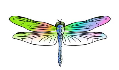 A vibrant, rainbow-colored dragonfly illustration with translucent wings and detailed segmentation.