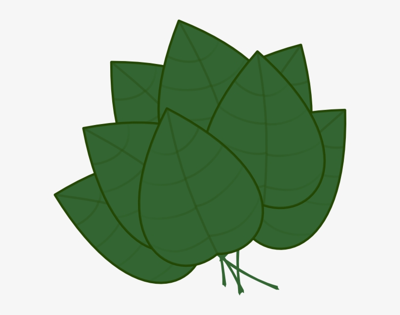 A stylized illustration of a cluster of dark green leaves with visible veins and stems, arranged in an overlapping fan-like pattern.