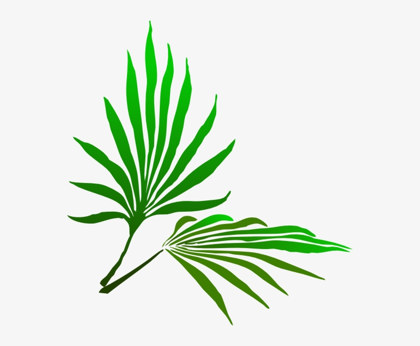 Palm Sunday Clipart - Palm Leaf Watercolor Png - Free Transparent ...
