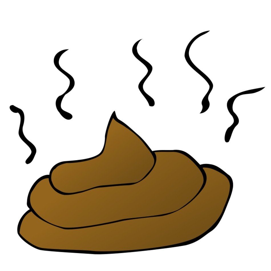 Cartoon illustration of steaming brown feces with wavy odor lines rising above.