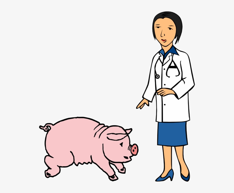 Veterinary Care for Pigs | Expert Guidance and Health Management