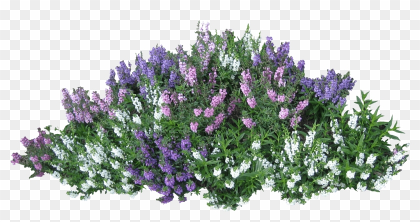 A lush, dense arrangement of purple, pink, and white flowering plants with vibrant green foliage against a transparent background.