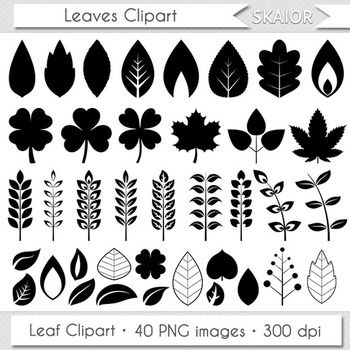 Leaf Clipart PNG Set - 40 High-Resolution Botanical Silhouettes