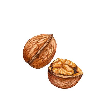 walnuts