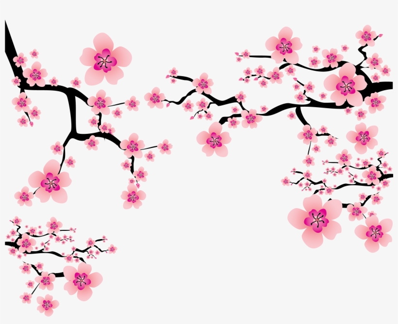 Cherry Blossom Clipart - Free PNG Illustration for Spring Design