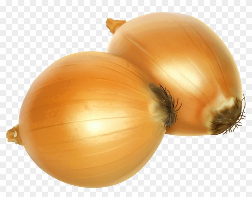 Two fresh yellow onions with papery skins and root ends, set against a transparent background.