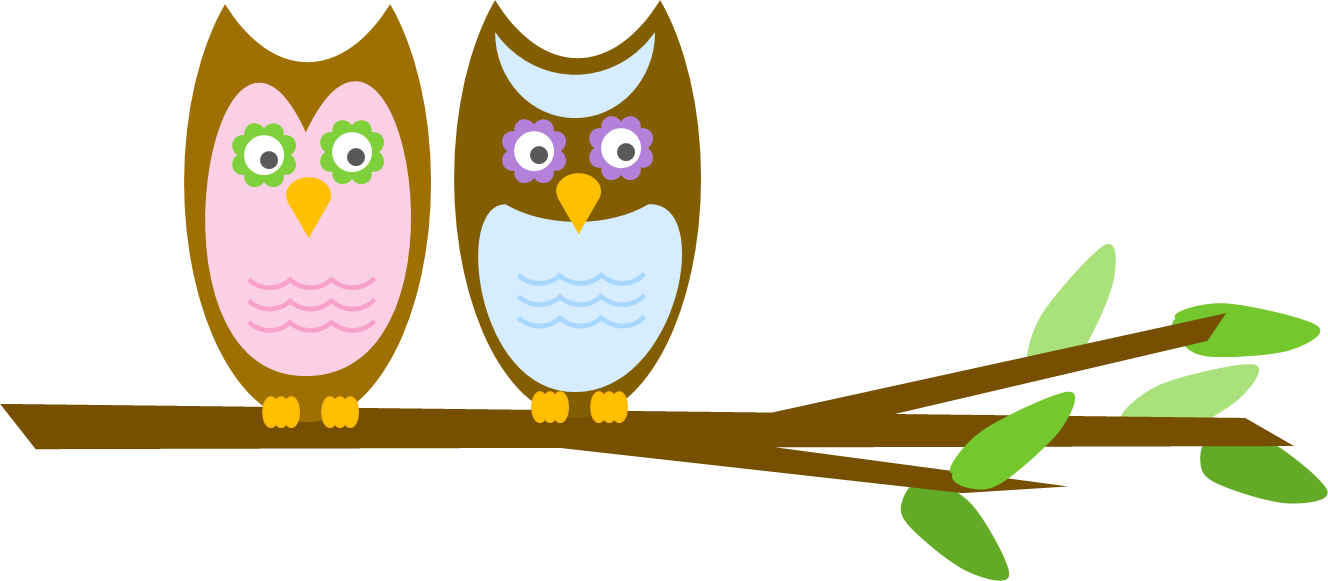 Two colorful cartoon owls with floral eyes perched on a leafy branch.