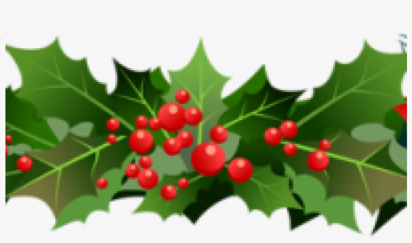 Holly Branch Illustration - Festive Green Leaves & Red Berries