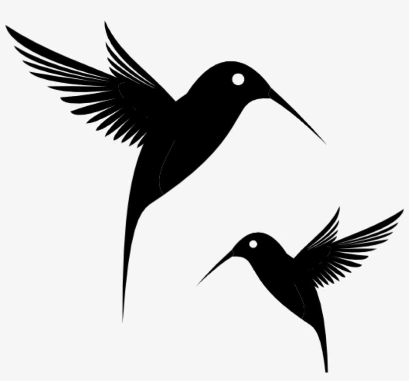 Two black silhouette hummingbirds in flight, one larger with long tail feathers, both wings spread and beaks pointed forward.