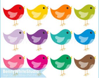 Twelve colorful cartoon birds in rows-red, yellow, orange, green, purple, teal, blue, pink, magenta, light green, and brown-on white background.