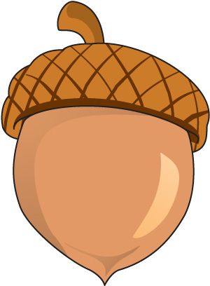 A stylized cartoon acorn with a textured brown cap and smooth tan nut, isolated on white background.