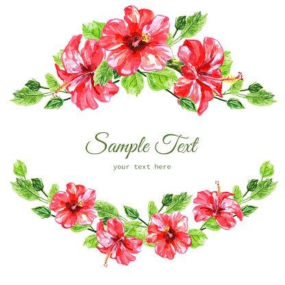 Watercolor hibiscus floral wreath with pink flowers and green leaves, symmetrical top and bottom design on white background.